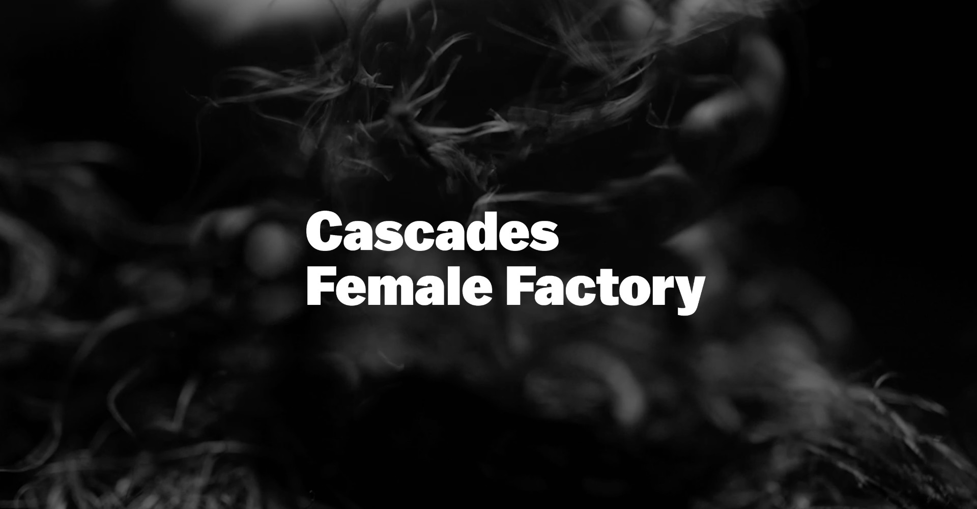 Cascades Female Factory web design client Hobart